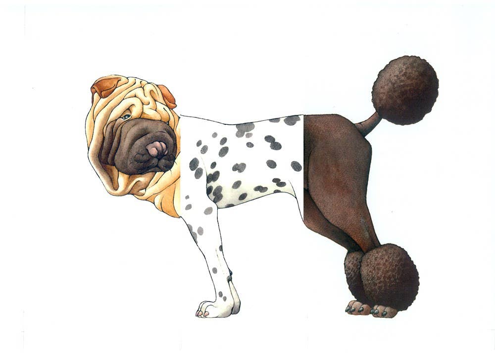 Mix-a-Mutt: Make Your Own Wacky Canine!