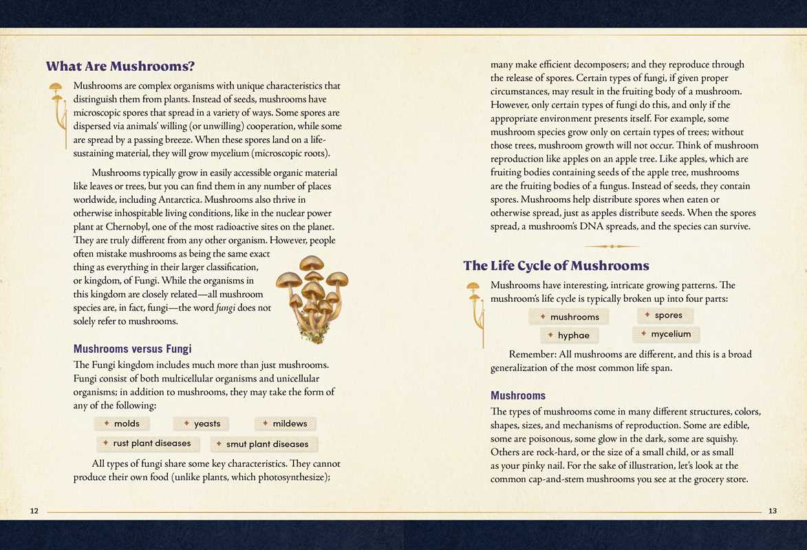 Little Book of Mushrooms