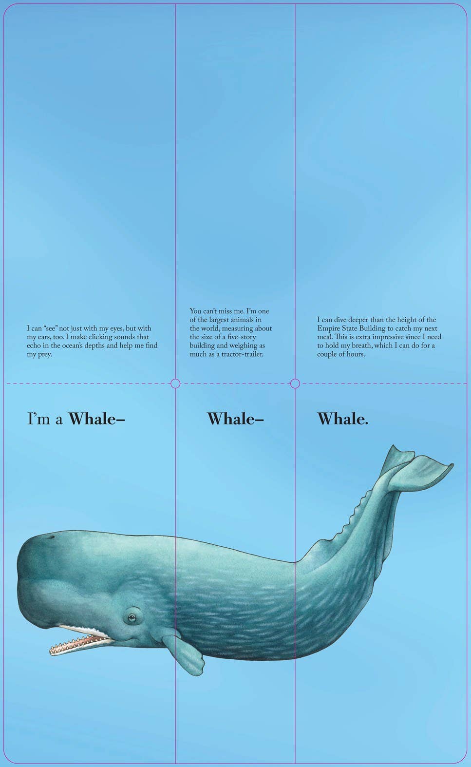 Flip-A-Fin