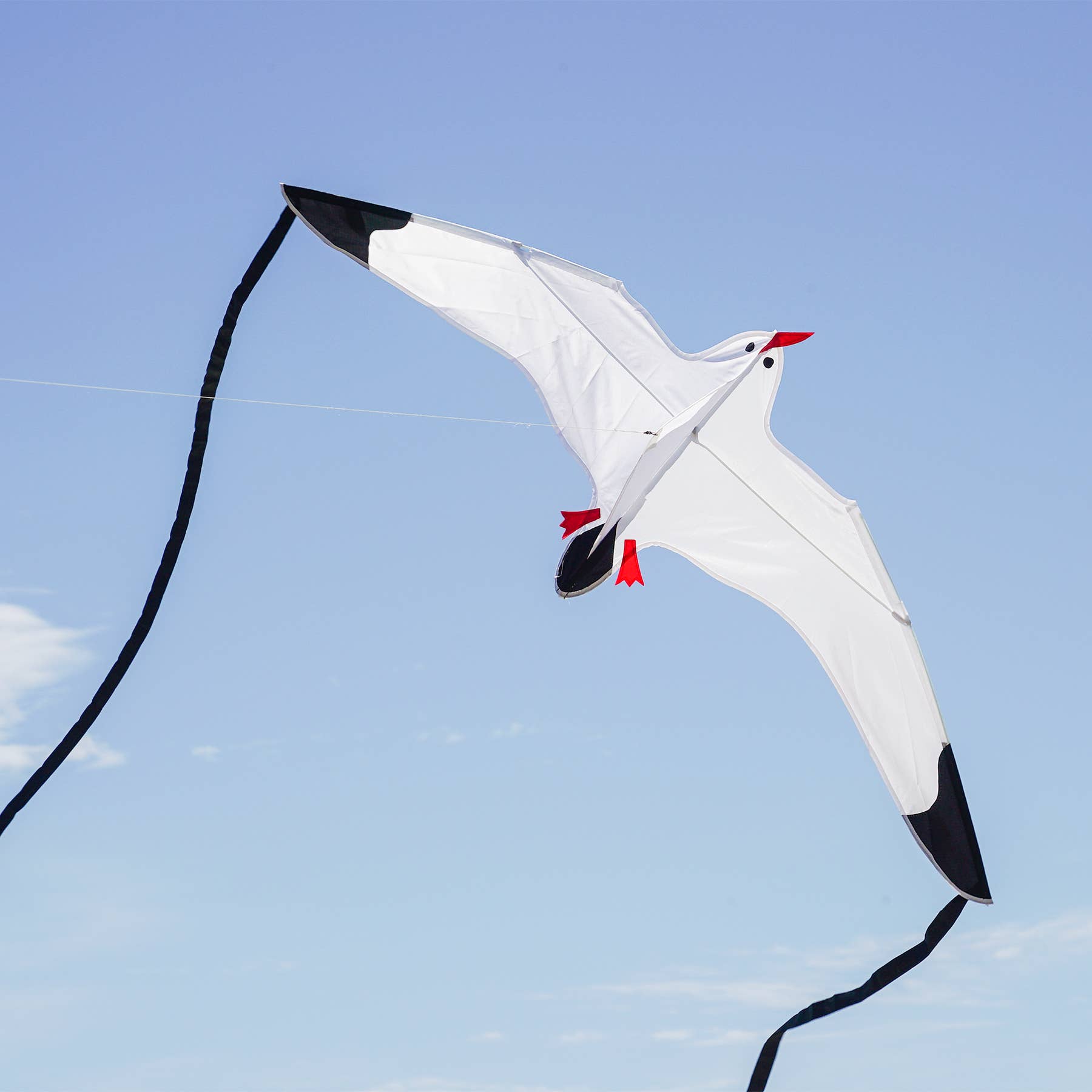 Seagull Kite