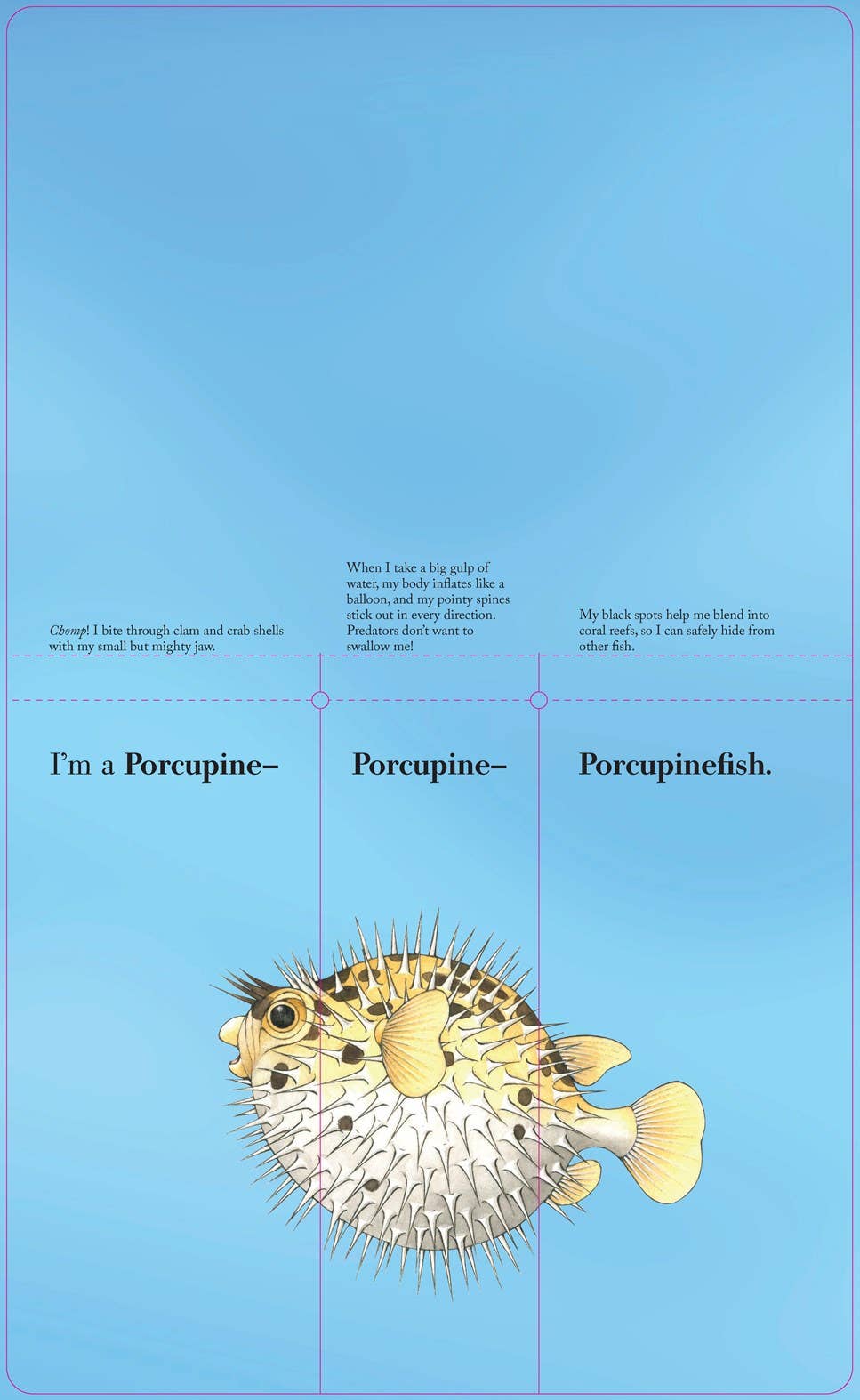 Flip-A-Fin