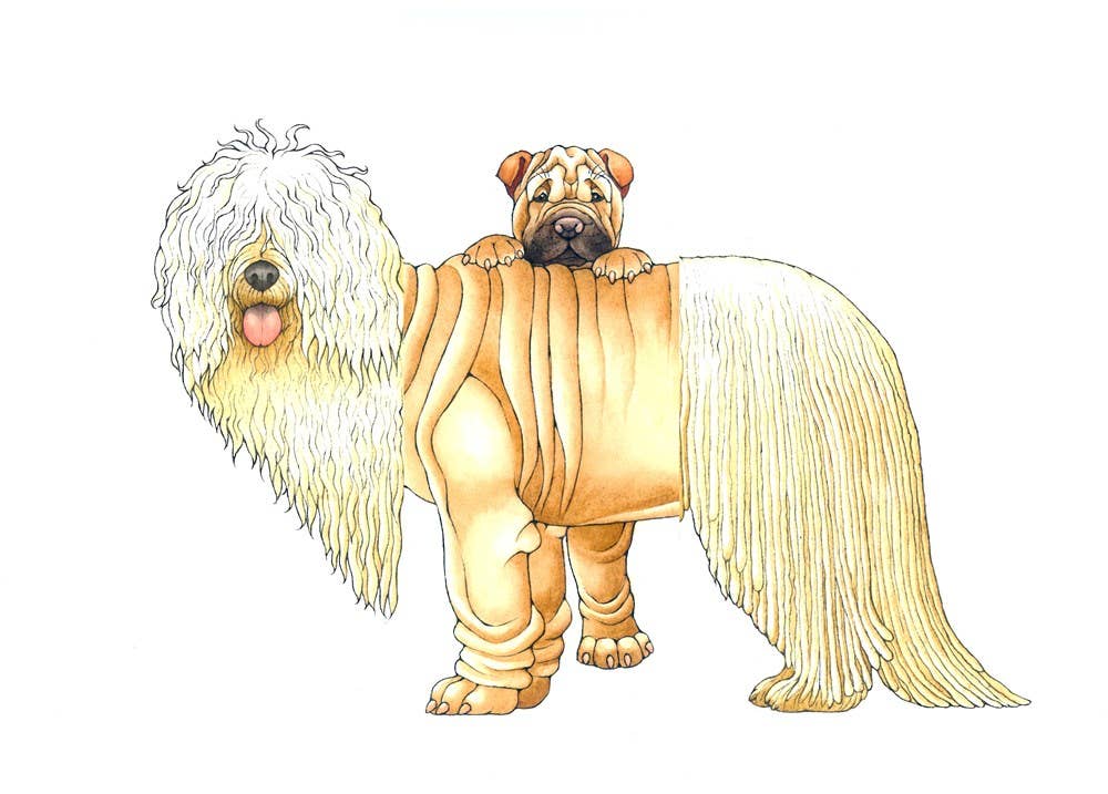 Mix-a-Mutt: Make Your Own Wacky Canine!