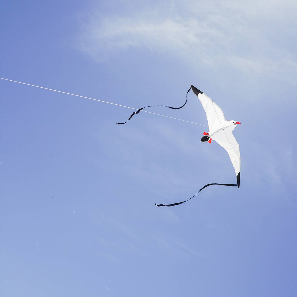 Seagull Kite