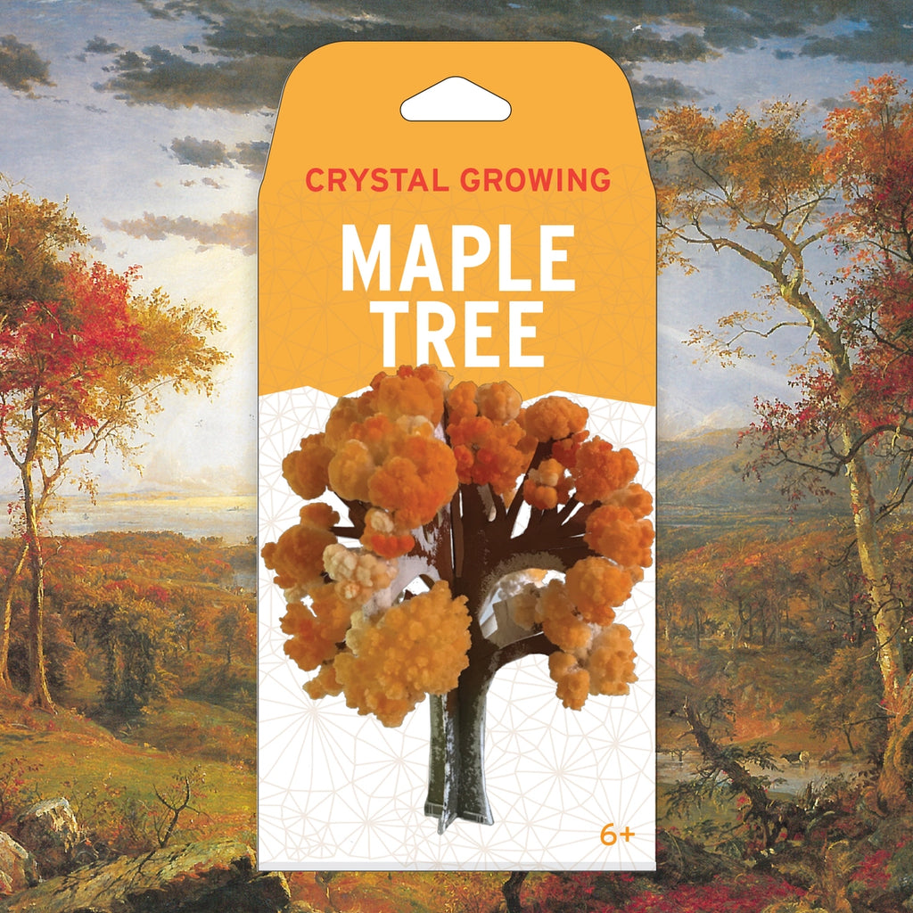 Crystal Growing Maple Tree