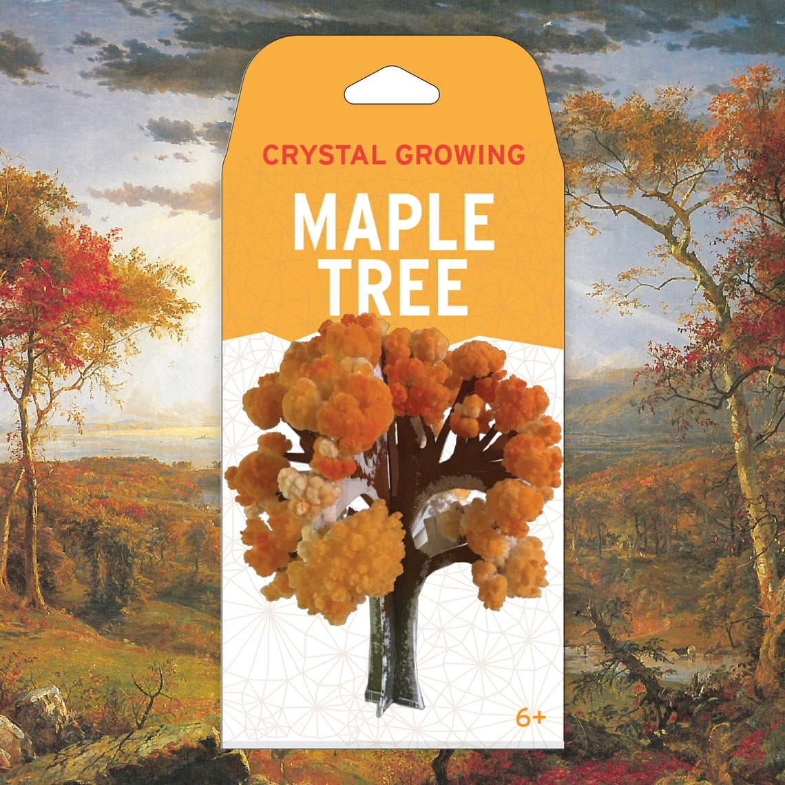 Crystal Growing Maple Tree
