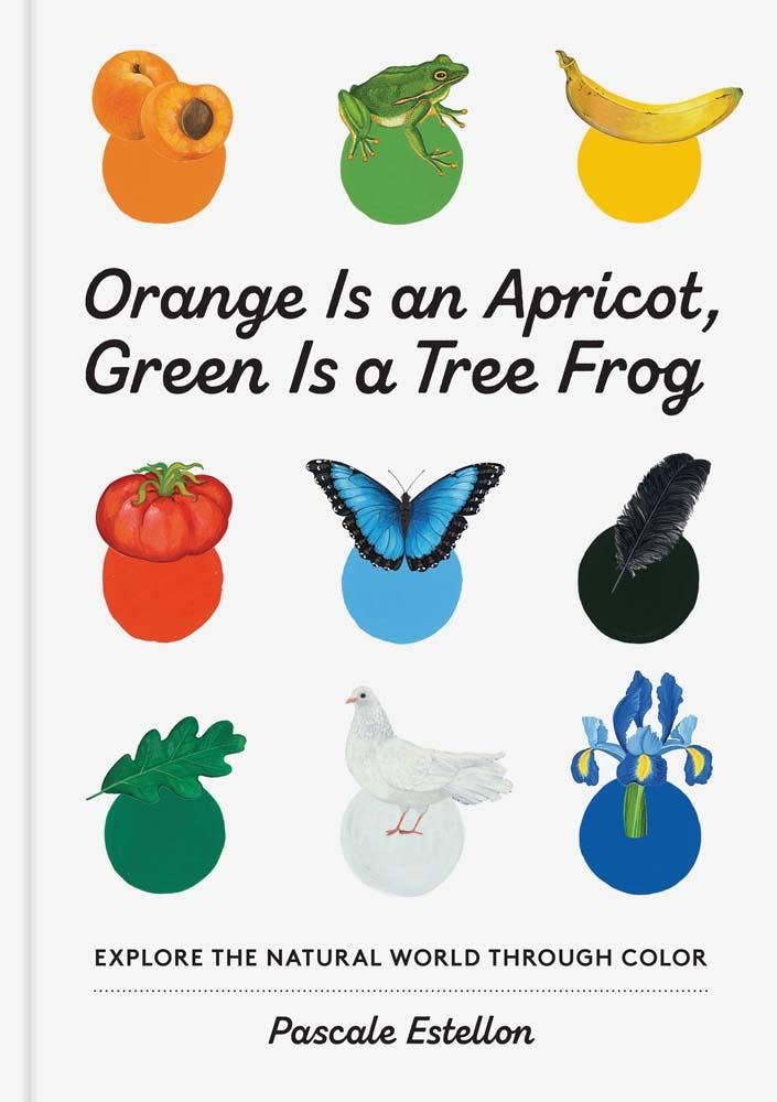 Orange Is an Apricot  Green Is a Tree Frog