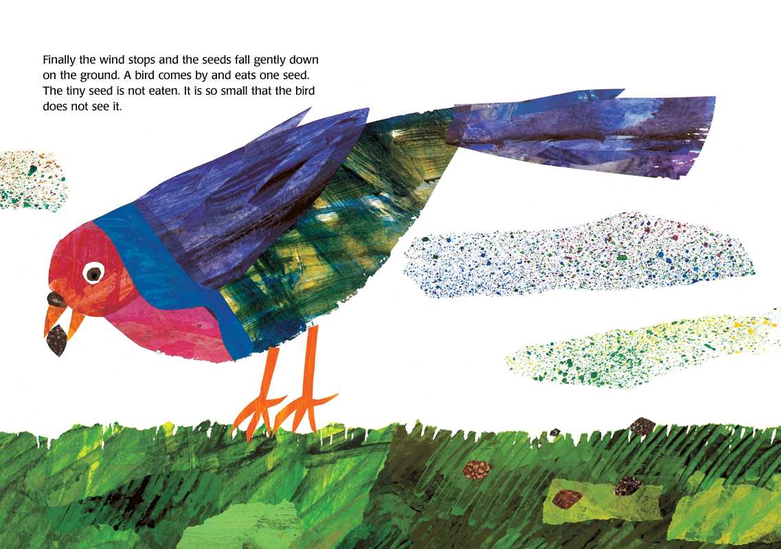 Tiny Seed by Eric   Carle