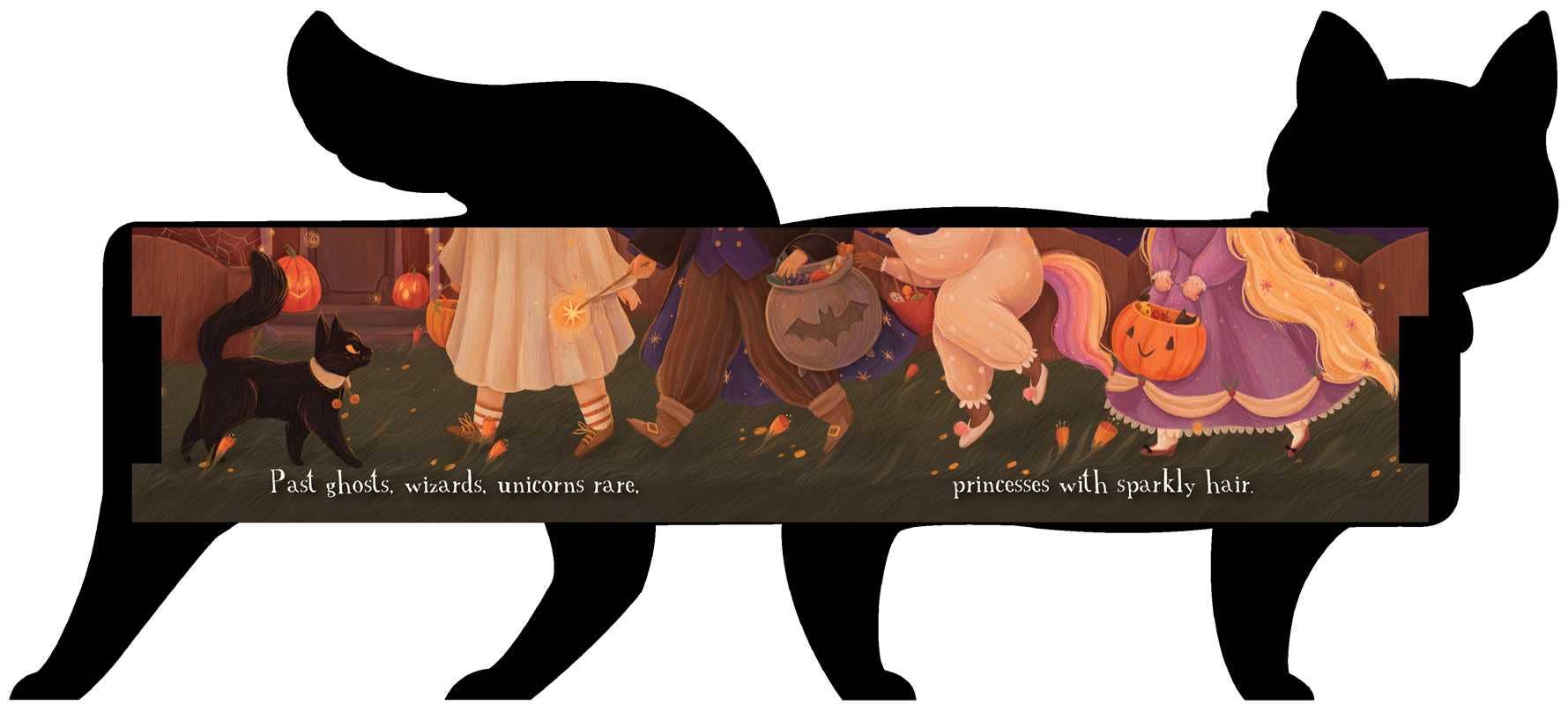 One Black Cat by Robie Rogge: Board Books; 12 pages / English