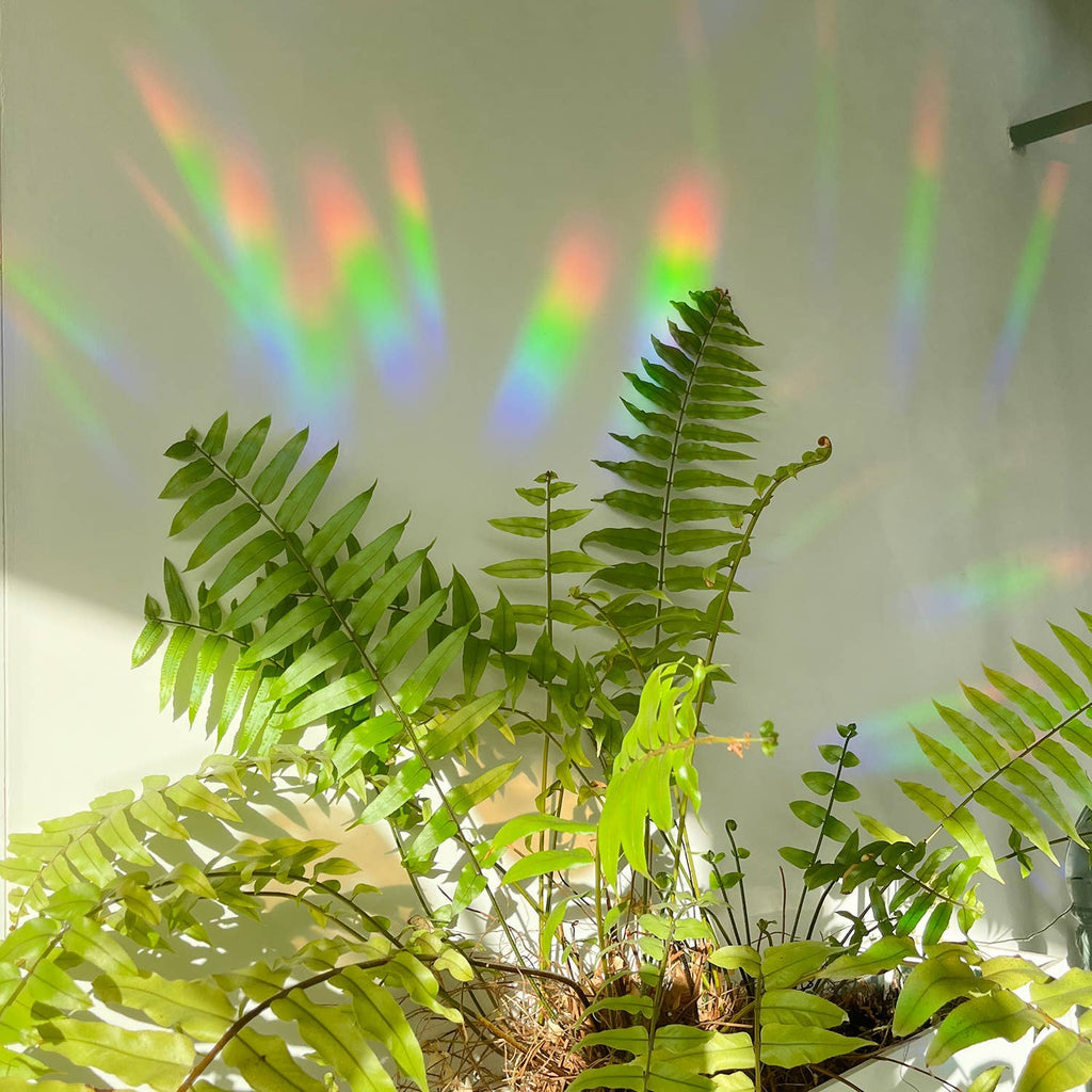 Rainbow maker sticker - Rainbow Drizzle