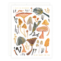 Mushrooms