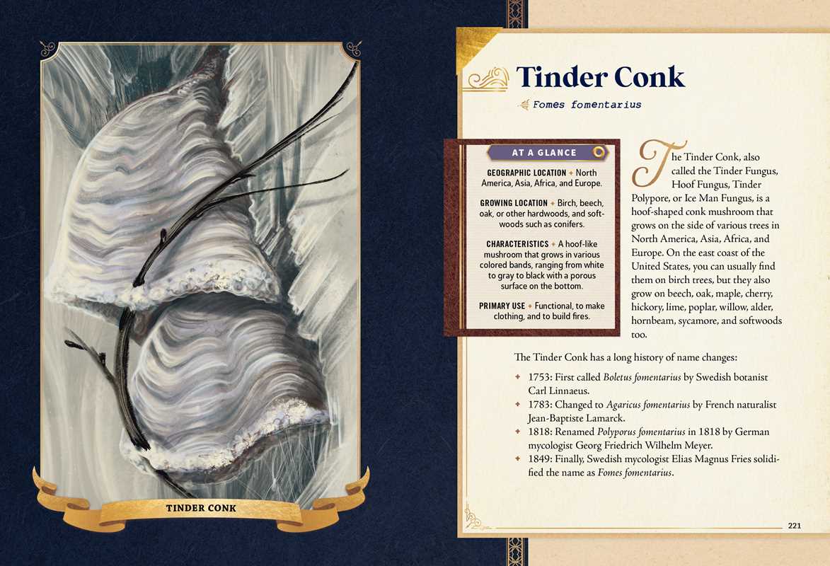 Little Book of Mushrooms