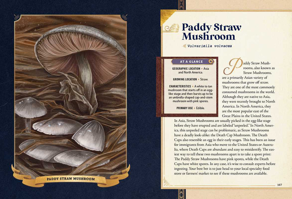 Little Book of Mushrooms