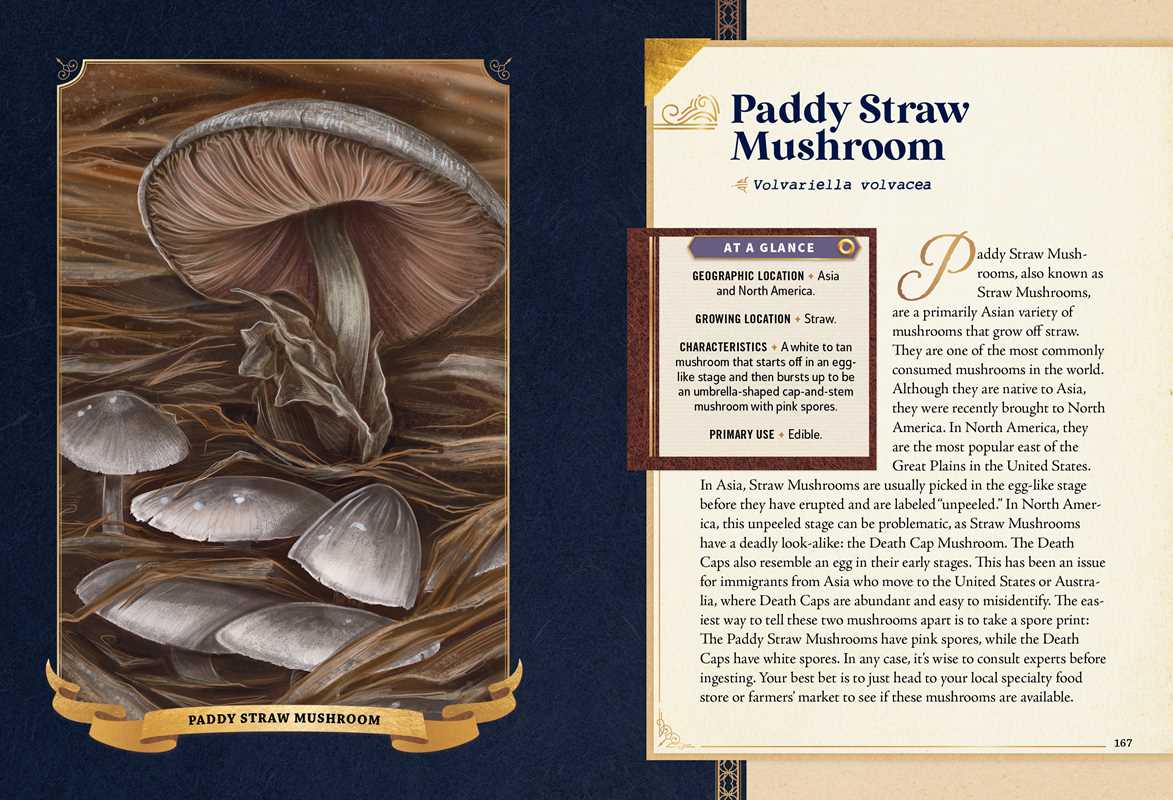 Little Book of Mushrooms
