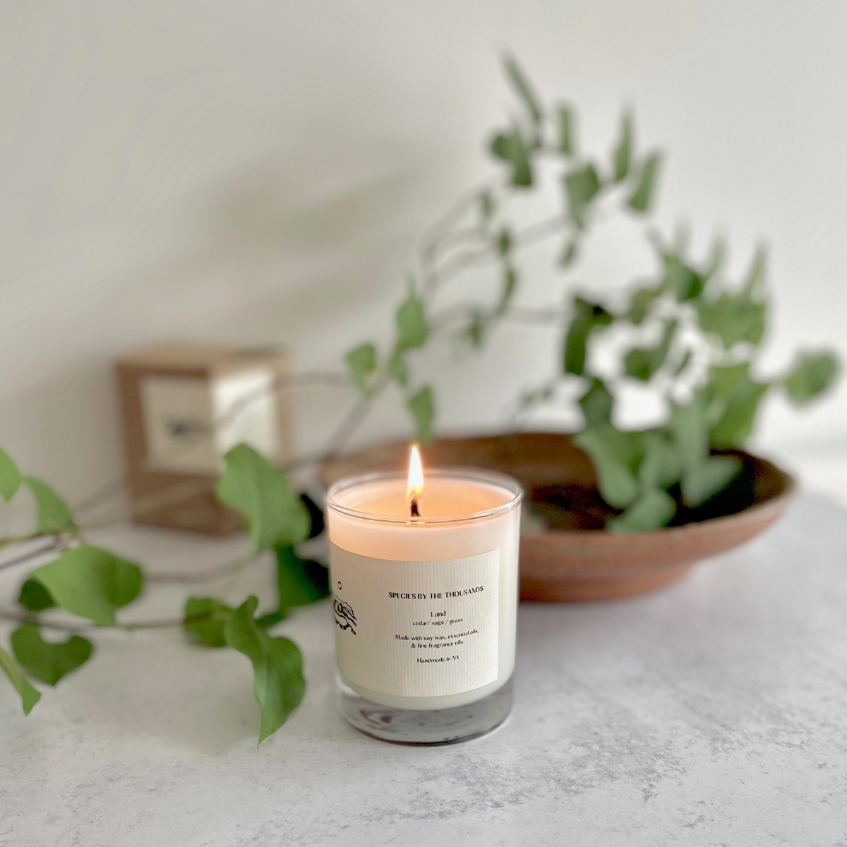 Cedar, Sage, and Grass - Soy Candle