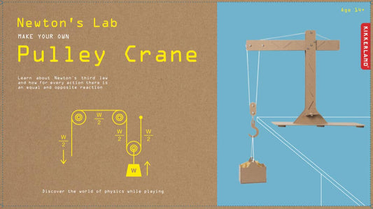 Newton's Lab Pulley Crane